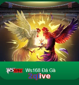 2qlive